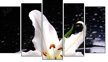 Macro of white lily with therapy stones - Five-piece canvas print, Pentaptych