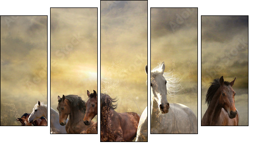herd of horses galloping free at sunset - Five-piece canvas print, Pentaptych