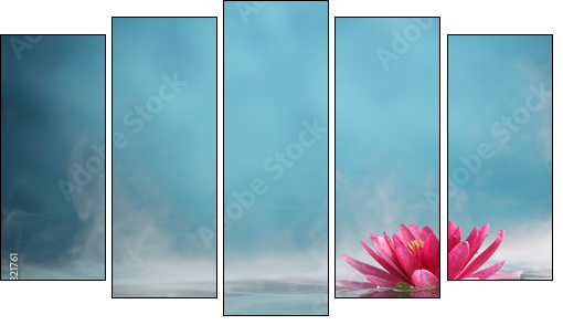 water lily - Five-piece canvas print, Pentaptych