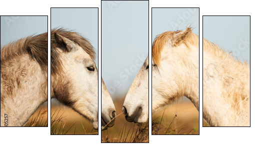Two white horses of Camargue - Five-piece canvas print, Pentaptych