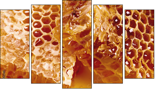 wax honeycombs with honey - close up - Five-piece canvas print, Pentaptych