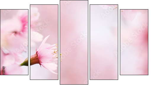 sakura cherry blossom flowers - Five-piece canvas print, Pentaptych