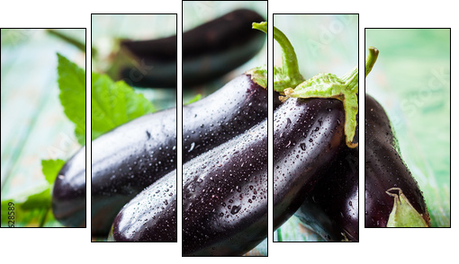 Eggplant - Five-piece canvas print, Pentaptych