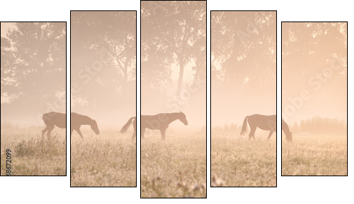 horses in sunshine and fog - Five-piece canvas print, Pentaptych
