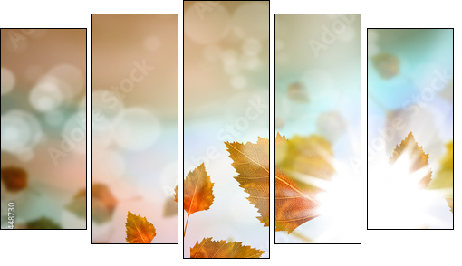 Autumn leaves - Five-piece canvas print, Pentaptych
