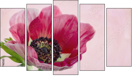Closeup of anemone flower2 - Five-piece canvas print, Pentaptych
