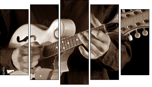 mandolin player,sepia image - Five-piece canvas print, Pentaptych