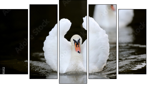 Swan in the lake - Five-piece canvas print, Pentaptych