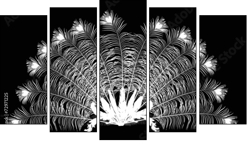 peacock feather fan silhouette on black - Five-piece canvas print, Pentaptych