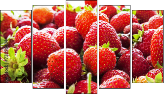 Strawberry panorama. - Five-piece canvas print, Pentaptych
