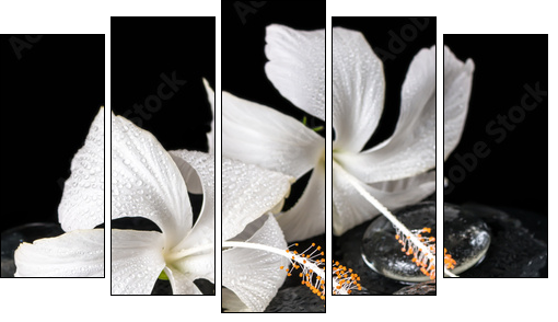 Beautiful cryogenic spa concept of delicate white hibiscus, zen - Five-piece canvas print, Pentaptych