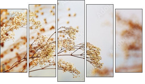 Dried flowers background - Five-piece canvas print, Pentaptych
