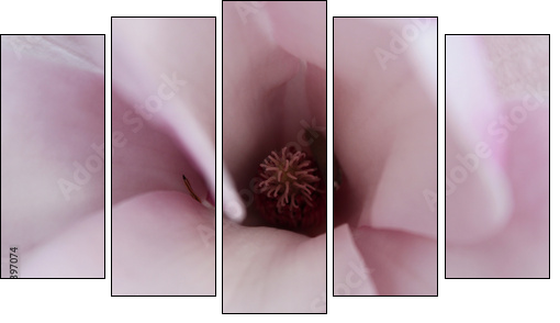 Magnolia inside - Five-piece canvas print, Pentaptych