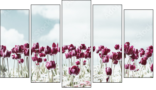 Retro Photo Of Tulip Garden In Spring - Five-piece canvas print, Pentaptych