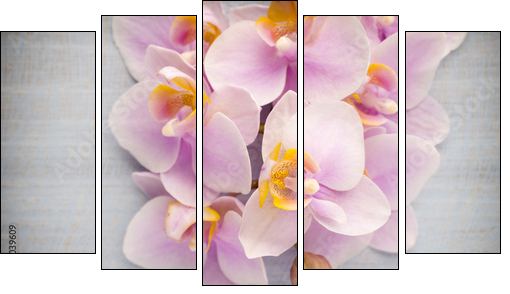 Orchid. - Five-piece canvas print, Pentaptych