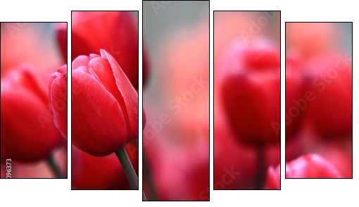 Pink tulips - Five-piece canvas print, Pentaptych
