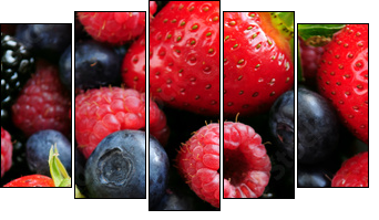 Assorted fresh berries - Five-piece canvas print, Pentaptych