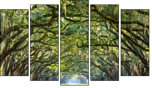 Country Road Lined with Oaks in Savannah, Georgia - Five-piece canvas print, Pentaptych