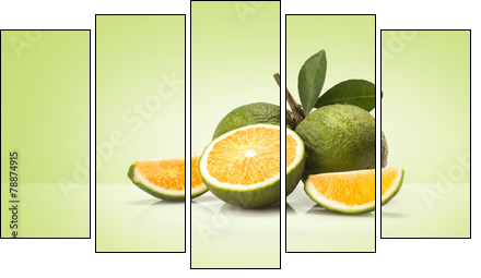 Green sweet oranges fruit - Five-piece canvas print, Pentaptych