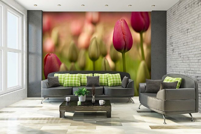 A-tulip-paradise-flower-wallpapers-demur
