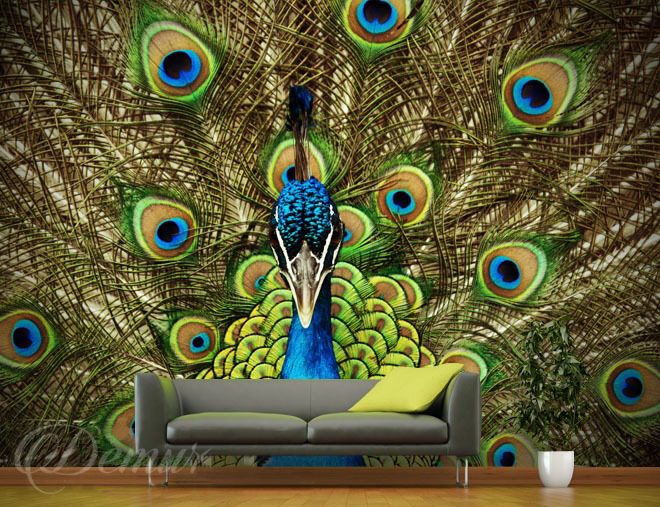 The-queens-peacock-animal-wallpapers-demur
