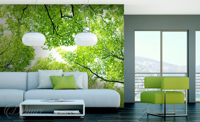 A-green-sky-forest-wallpapers-demur
