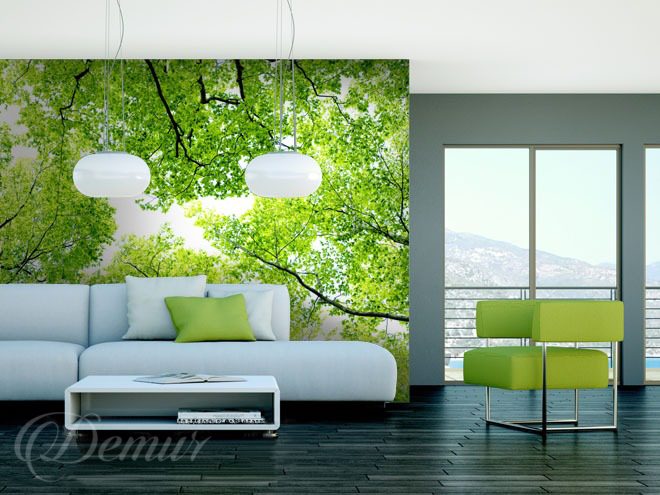 A-green-sky-forest-wallpapers-demur