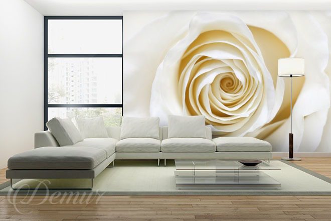 An-ecru-color-rose-flower-wallpapers-demur
