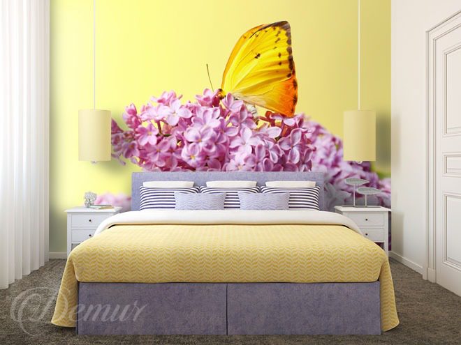 A-butterfly-resting-on-a-common-lilac-butterfly-wallpapers-demur