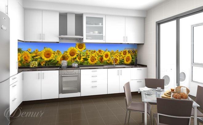A-sunflower-plantation-kitchen-wallpapers-demur