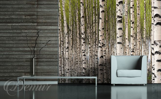 The-smell-of-birch-trees-living-room-wallpapers-demur