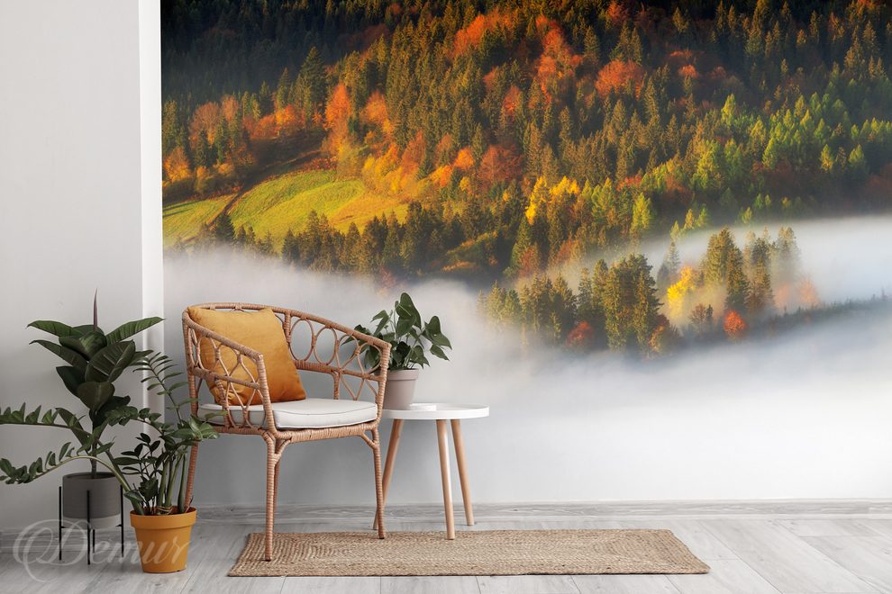Autumn-beauty-of-nature-office-wallpapers-demur